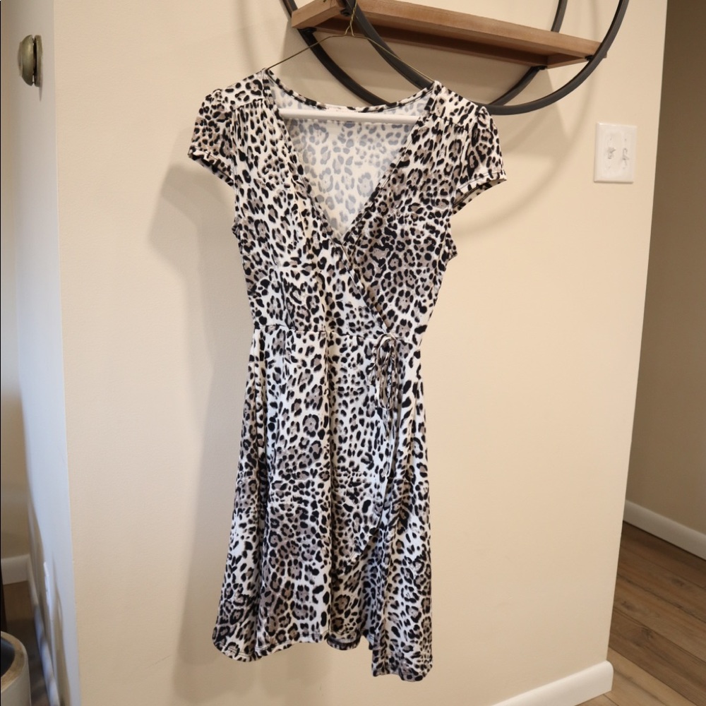 Francesca’s Animal Print Dress - XXS